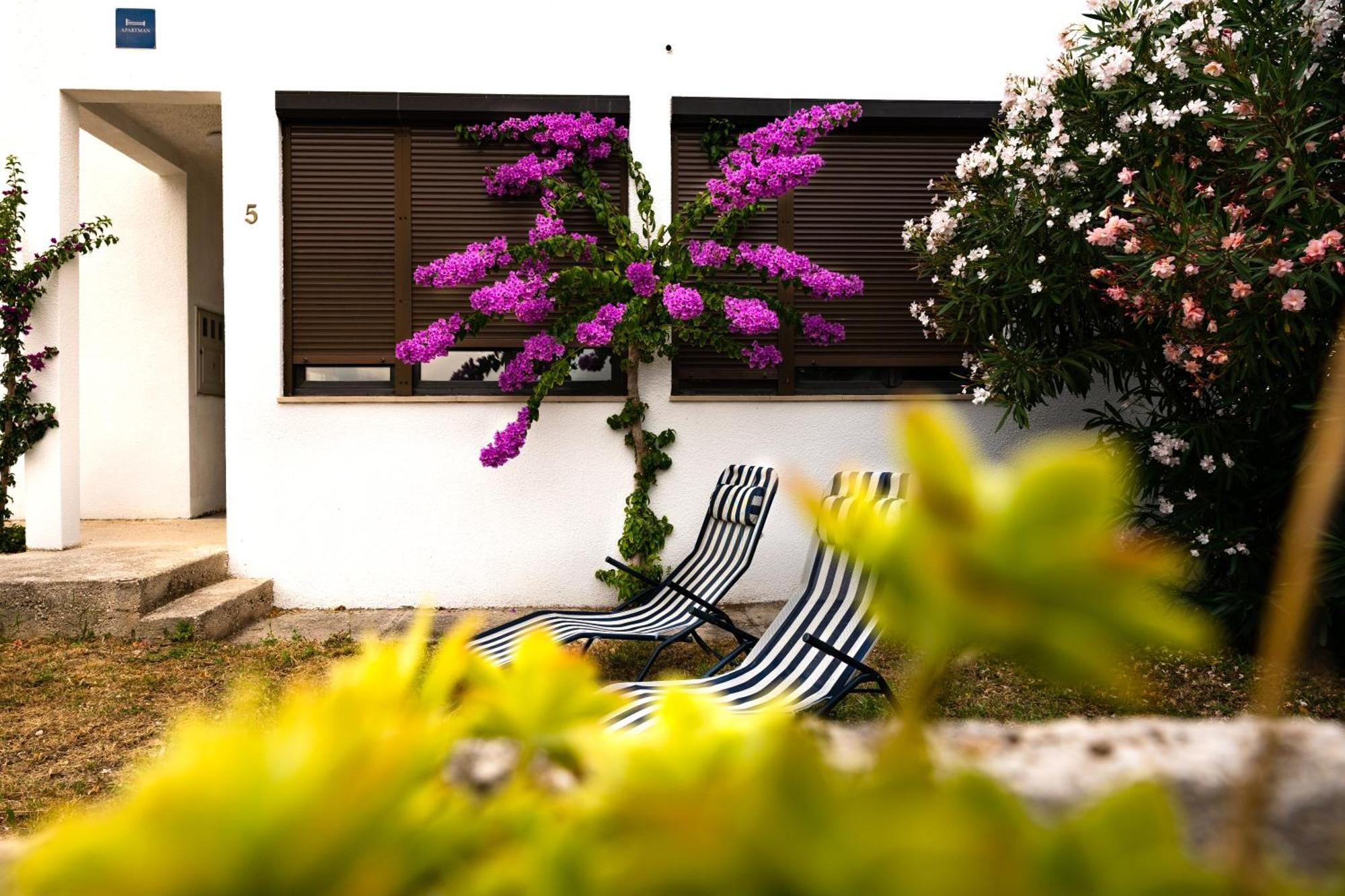 Apartments Dida Sime Стариград-Пакленица Екстериор снимка